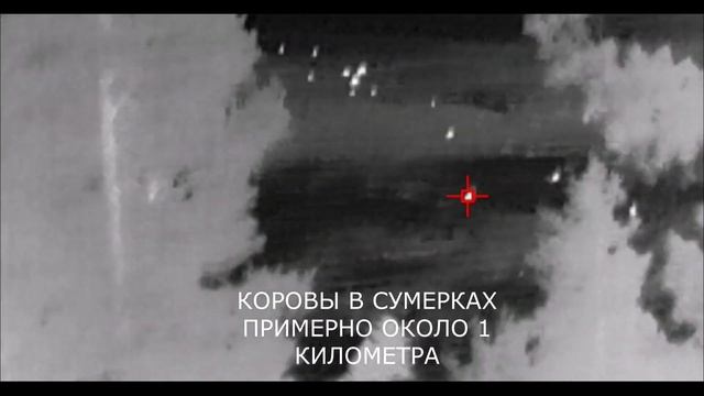 САМЫЙ МАЛЕНЬКИЙ ТЕПЛОВИЗОР InfiRay T2 Pro ДЛЯ ОХОТЫ  ДЛЯ ОБНАРУЖЕНИЯ ОБЪЕКТА НА ОХОТЕ