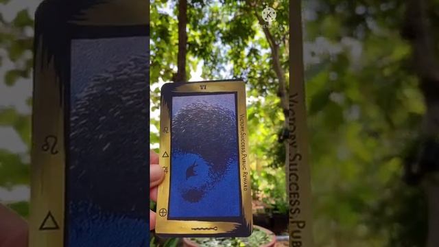 Mr.Otter Tarot ; Trial Deck смотреть онлайн