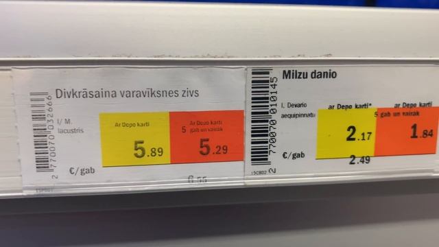 Большой зоомагазин. Отдел аквариумов и рыбок смотреть онлайн