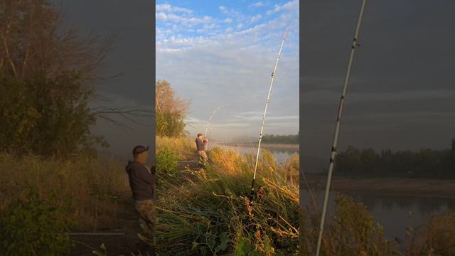 Дикая поклевка.mp4 смотреть онлайн