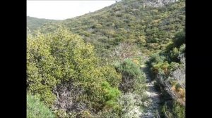 Карийская тропа. Полуостров Датча. Турция 2019