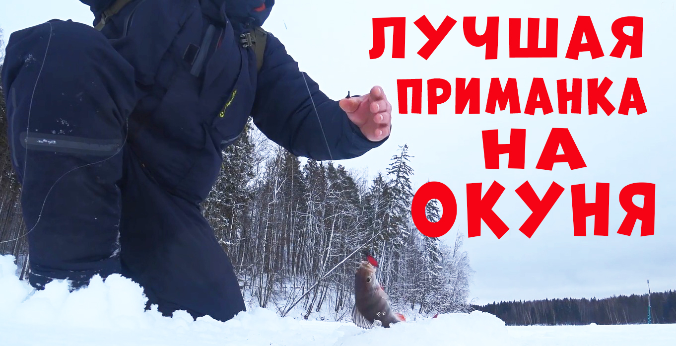 ЛУЧШАЯ ПРИМАНКА НА ОКУНЯ!!! ВТОРОЙ ГОД ЕЕ НЕ СНИМАЮ!!! смотреть онлайн