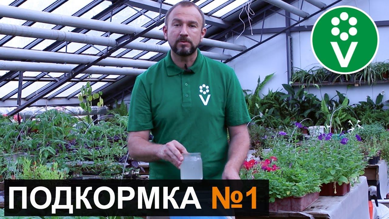 ПЕРВАЯ И САМАЯ ВАЖНАЯ ПОДКОРМКА томатов и огурцов после высадки в грунт смотреть онлайн