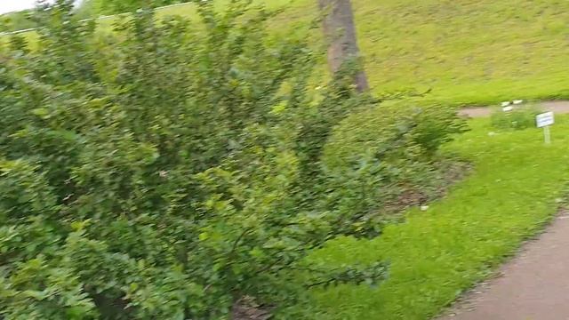 Белая башня White tower смотреть онлайн