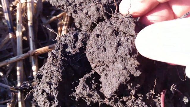 #6 GEORGE STEPHENSON MEDAL AND HAMMERED COIN смотреть онлайн