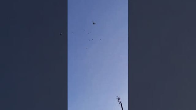 Вадим с Пензенской области гонит птицу 14 02 2022 года смотреть онлайн