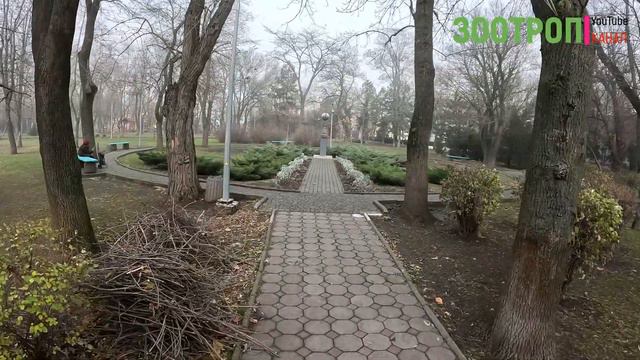 Черноморск | Ильичевск. Грибовка. Дальник. Качество воды. Водомат водограй. Бюветы. Вода. #зоотроп смотреть онлайн