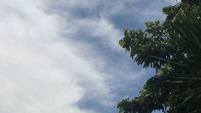 Myanmar Airways International Airbus A319-115 XY-ALK flyover смотреть онлайн