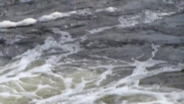 \Крестный ход 3 авгута 2918г Южкий район - плотина на реке Теза смотреть онлайн