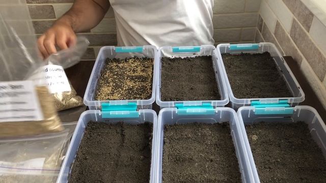 ГАЗОН. Какие семена выбрать? Часть 1 смотреть онлайн