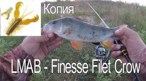 Крутая приманка на окуня ! РАЧОК, копия LMAB Finesse Filet Craw. ОБЗОР и РЫБАЛКА !