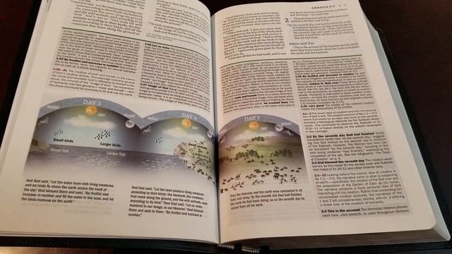 Zondervan NIV Faithlife Illustrated Study Bible in Premium Black Bonded Leather - Review смотреть онлайн