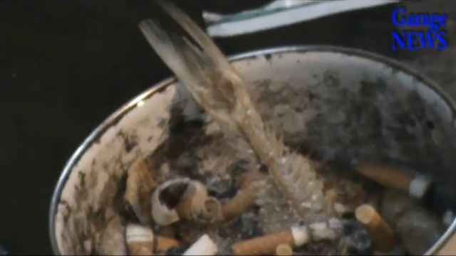 2009 Garage NEWS. Стих. Про рыбу смотреть онлайн