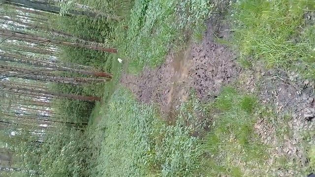 Соня, коза смотреть онлайн