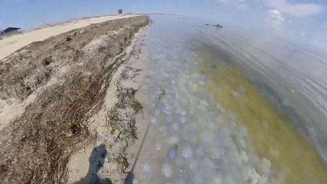 It.was.an.amazing.time.to.live.in.Arabatka.Camp 2020 смотреть онлайн