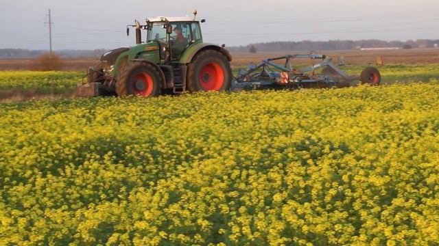Fendt 936 Vario Cultivating With Lemken Rubin 9