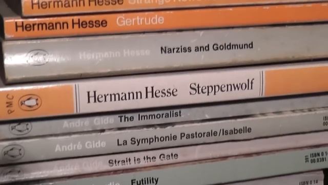 A Mild Case of Bibliomania смотреть онлайн