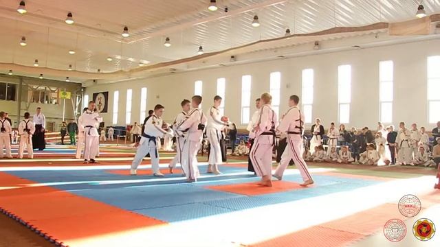 Чемпионат Федерации Косики Каратэ России. Липецк 2016 г. смотреть онлайн