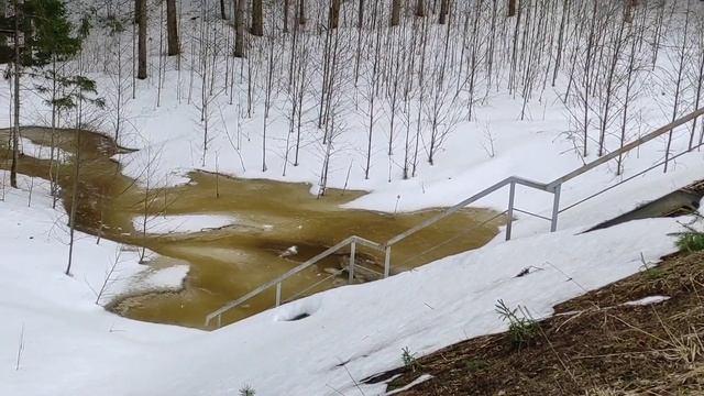 Russian railways: one of the last ELEKTRICHKA from Riga at Moscow ring railway смотреть онлайн