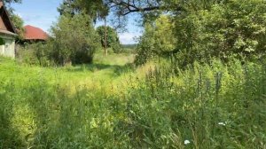 [4K] Заброшенная деревня / Камешкирский район / Пензенская область (23.07.2023)