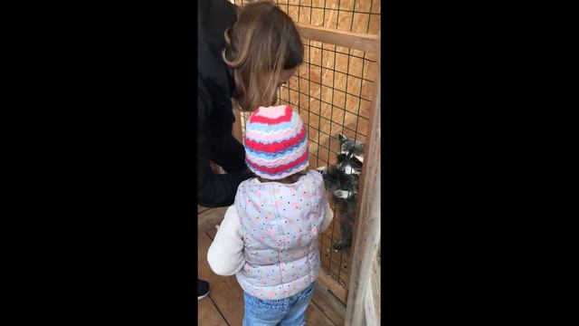 Дом Енота 03 06 2022 смотреть онлайн