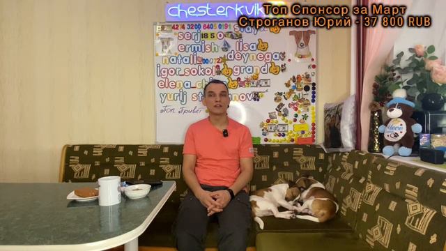 Человек Собаке Друг / 24.03.2023 смотреть онлайн