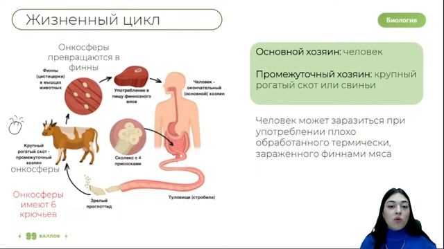 ЖИЗНЕННЫЕ ЦИКЛЫ ПАРАЗИТИЧЕСКИХ ЧЕРВЕЙ | БИОЛОГИЯ 10 КЛАСС | 99 БАЛЛОВ смотреть онлайн