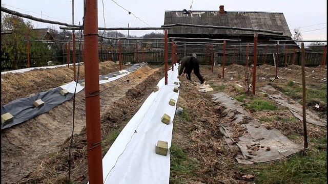 Укрытие винограда в реальном времени. Серия 122. смотреть онлайн