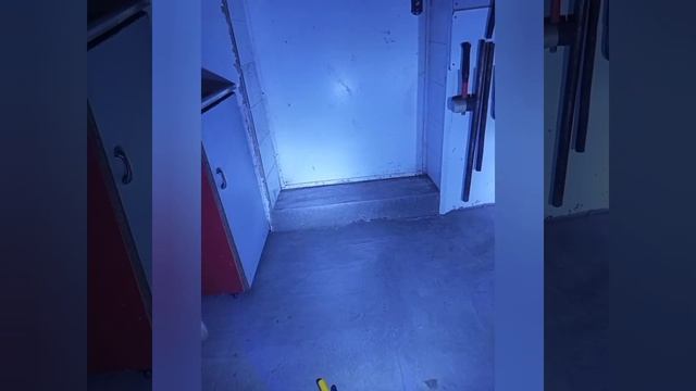 Н3 Галогеновые лампы vs светодиодные смотреть онлайн