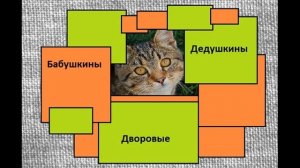 Проект мои домашние питомцы Окружающий  мир 1 класс 2 часть