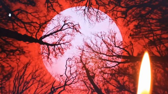 9 ГЛАВНЫХ ВИДОВ ПОРЧИ,СИМПТОМЫ ПОРЧИ смотреть онлайн