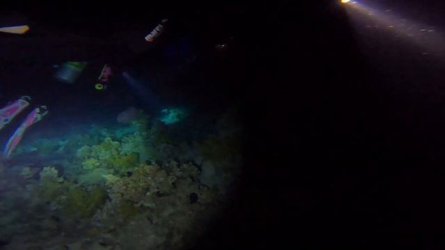 Diving at Far Garden Reef - Oasis Blue Bay Resort - Sharm El Sheikh смотреть онлайн