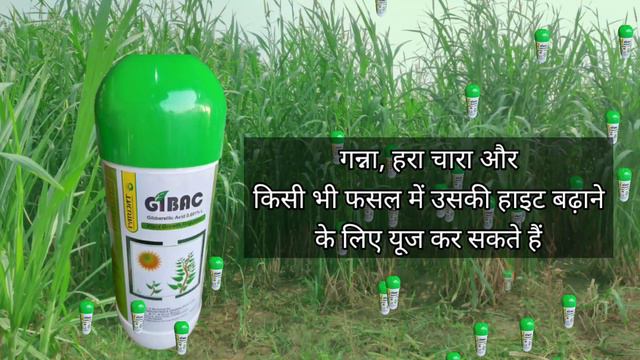 Gibac -parijat industries | gibberellic acid 0.001% l how to use gibberellic acid | gibberellic aci