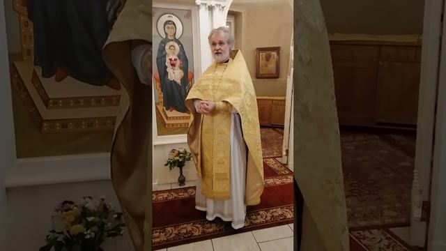 20.11.2022 Воскресная проповедь. Собор бессребренников и чудотворцев (прот. Валерий Буланников) смотреть онлайн