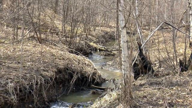 BOYA BY- WM 8 Двухканальная УКВ беспроводная микрофонная система смотреть онлайн