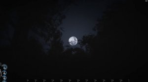 SCUM ⁞ Одиночная игра ⁞ Выживальщик Захарий #2