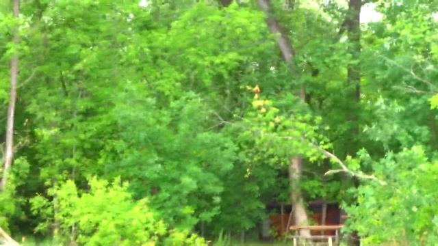 Второй день по маршруту Жигулевская кругосветка смотреть онлайн