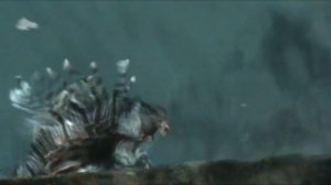 Egypt  Hilton Nuweiba Coral Resort 4*.  Fish lionfish,  рыба Крылатка