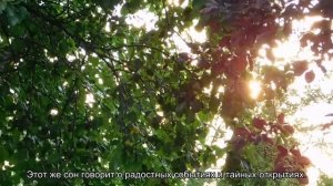 К чему снится находить золотые украшения? Толкование сна и его значение по сонникам Миллера и Фрейд