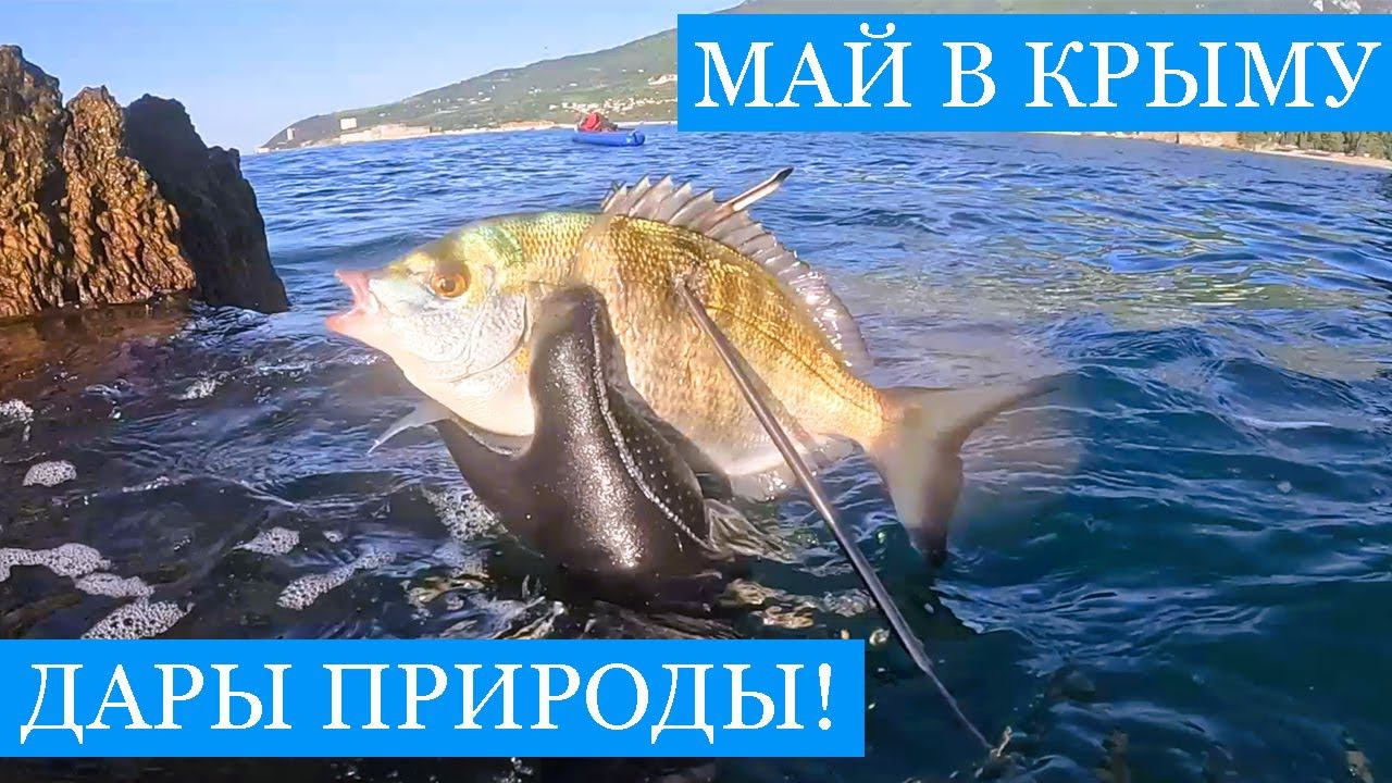 Май в КРЫМУ! - Рыбалка, креветки, грибы и подводная охота - весенние приключения и дары природы!!) смотреть онлайн