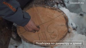 Заготовка сухостойной сосны Кело