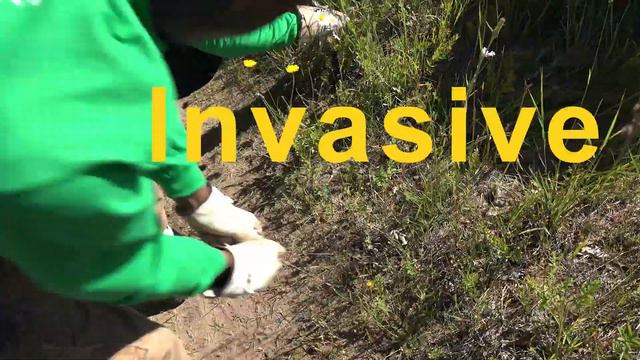 Forest Service Youth Conservation Corps 2018 смотреть онлайн