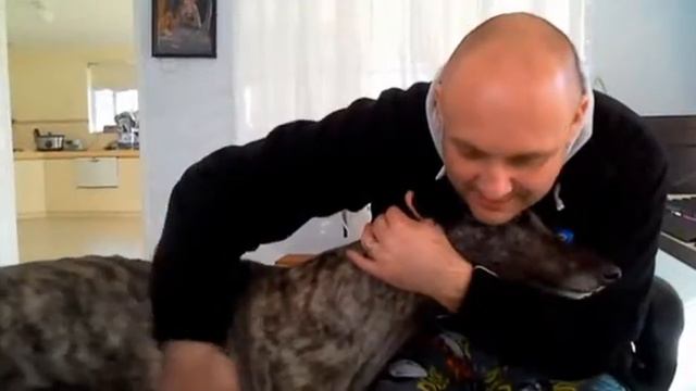 Greyhound Rescue [Caged to Free] Episode 15 смотреть онлайн