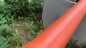 Самый простой способ вытяжки дачного туалета