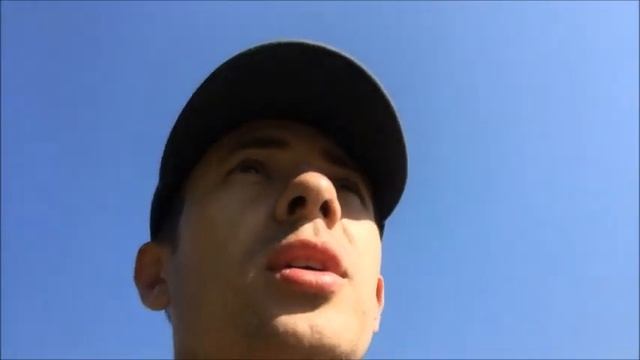 Атака летающих муравьев, дорога на покос 12 км! смотреть онлайн