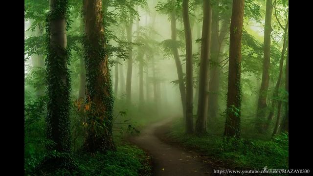 Регрессия Жанны.Развязка кармических узлов. Путешествие на планету. смотреть онлайн