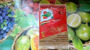 Фуфанон-нова. Один из лучших инсектицидов - акарицидов.