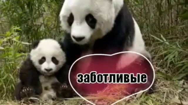 Проект по Музыке ученика Школы-лицея N48 Медеуский район