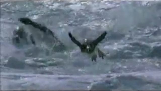 Прости Земля смотреть онлайн