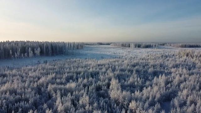 Просто летаем.... на dji mini 2 смотреть онлайн